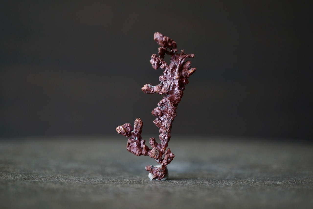 カザフスタン産自然銅  Native Copper 1888