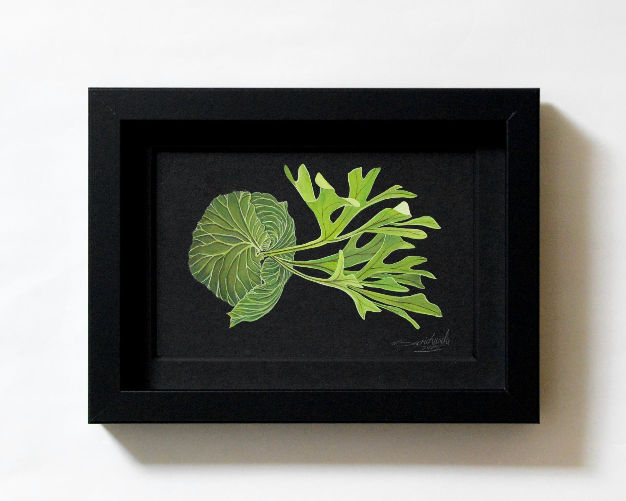 プラティセリウム・リドレイ 原画作品