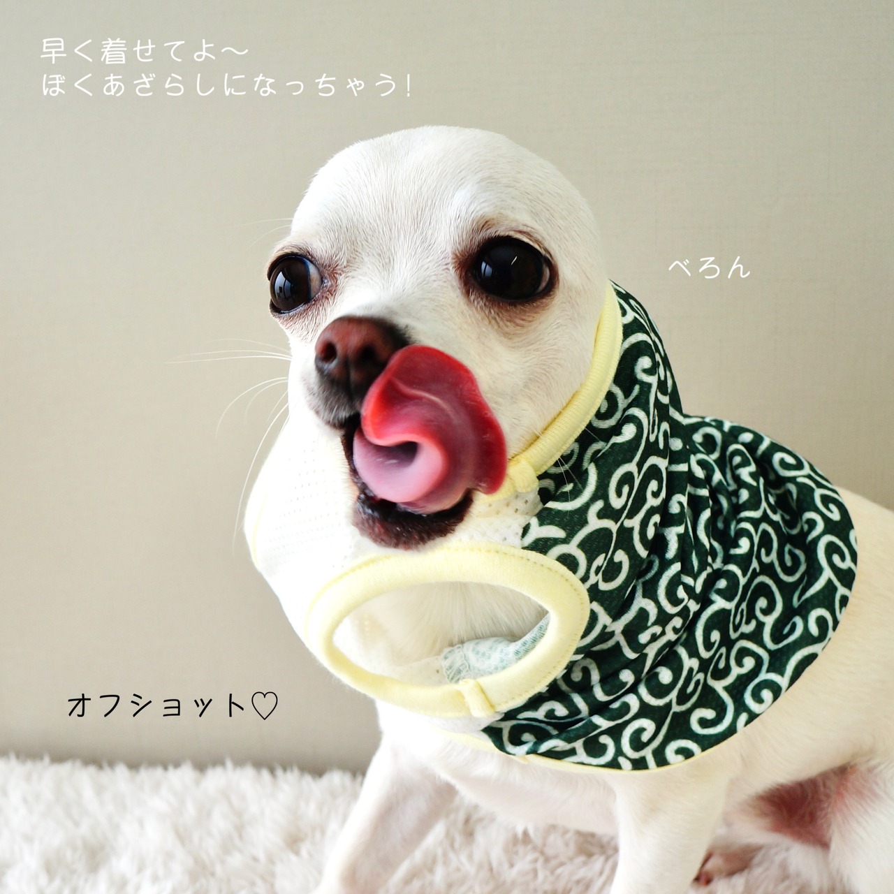 接触冷感❄️泥棒さんタンク