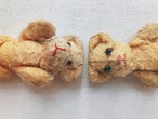 ~1950's Vintage twins honey bear 1