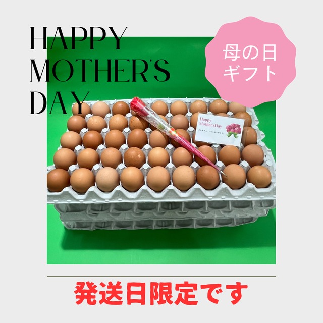 【Happy　Mother′s　Day】超早　母の日ギフト！！30％OFF【～3/31（日）までのご注文限定】にんにく卵（３０個）