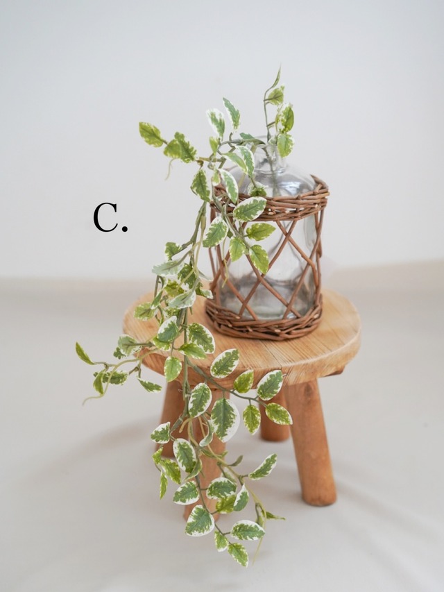 〈予約アイテム〉drops styling set / soft wood no.5