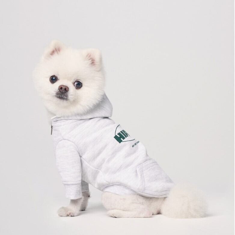 予約【HIFIVE】Skater Graphic Zipup Hoodie《Green》