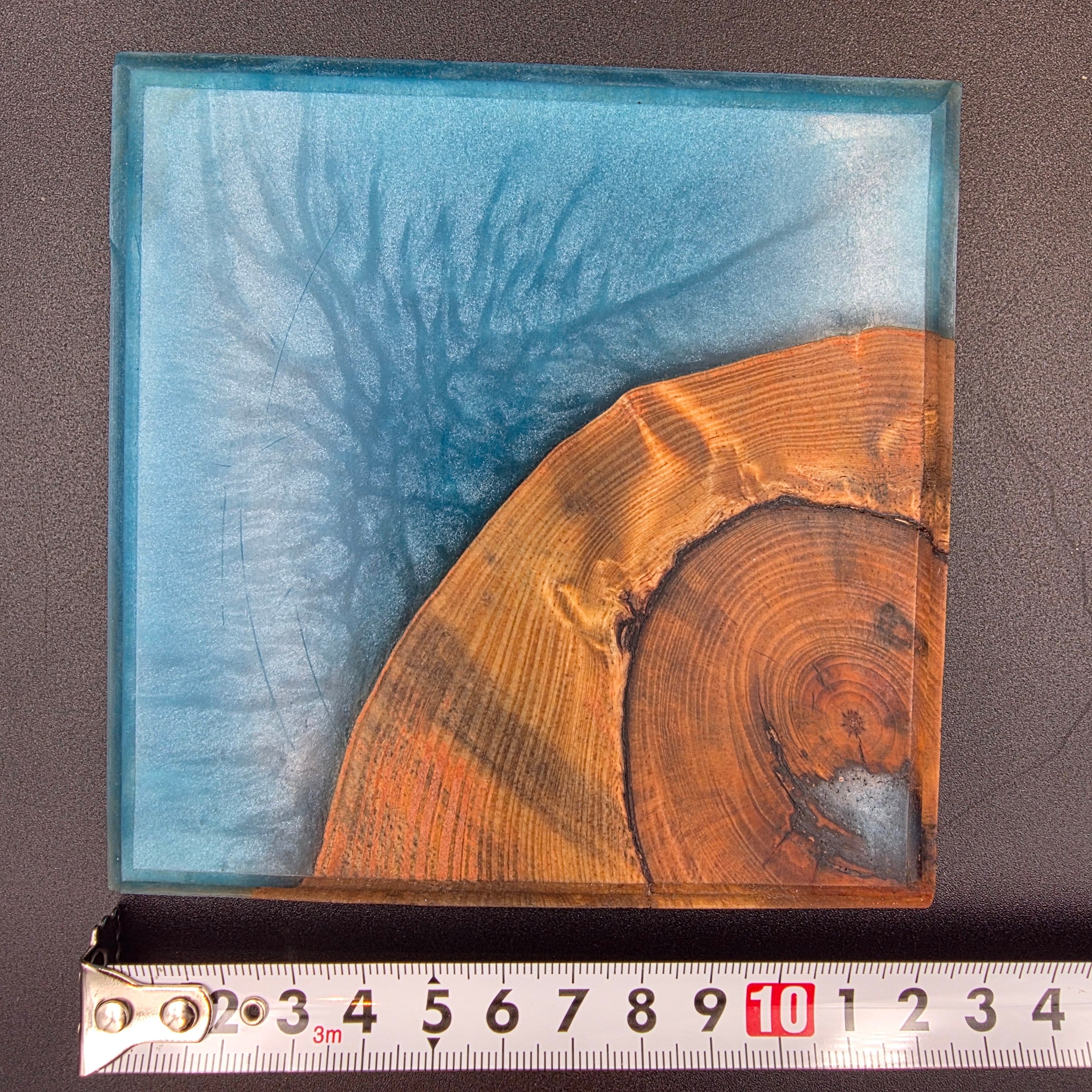 BOTANICA ウッドレジン 鉢台 / リバートレイ (一点物) | BRIDGE GARDEN