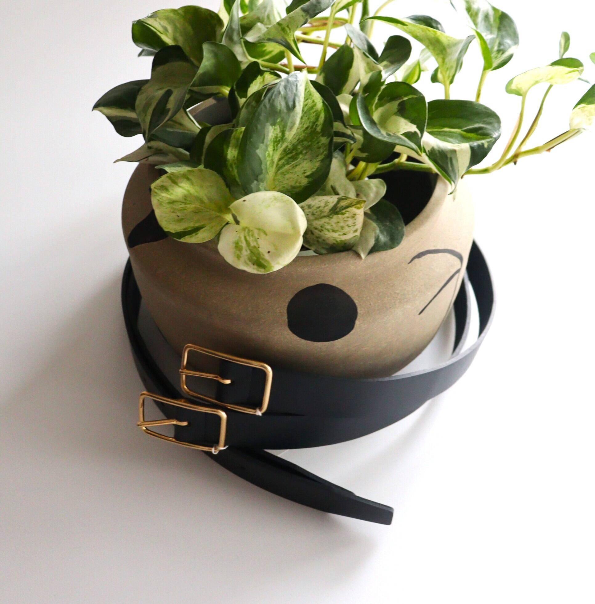 Cale ” reversible belt ( Blue )
