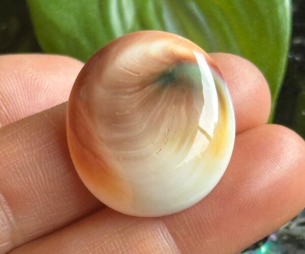 武藤玄功作 糸魚川翡翠 特大40mm勾玉 白色美石 | PAY ID