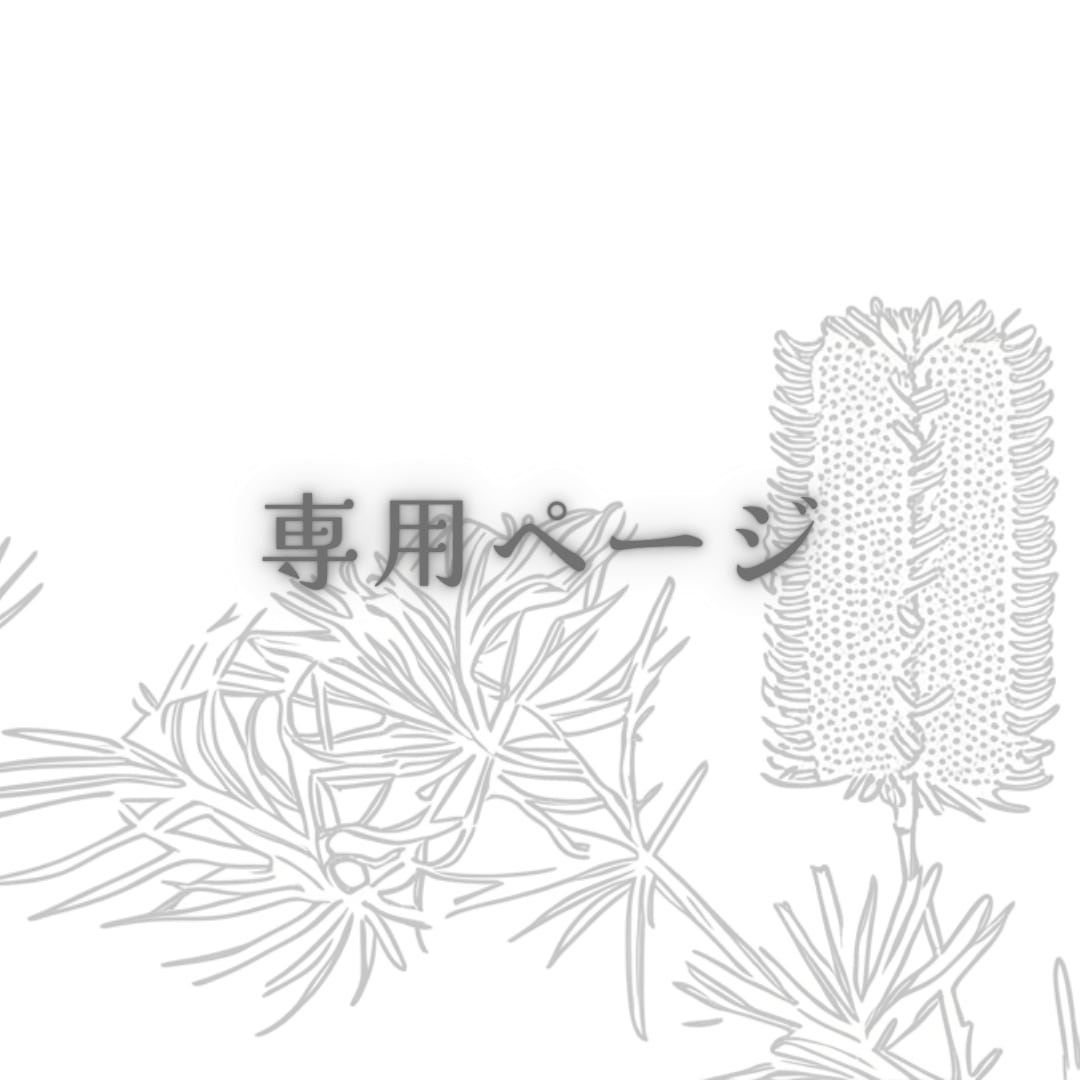 ＜専用＞　５点おまとめ　B