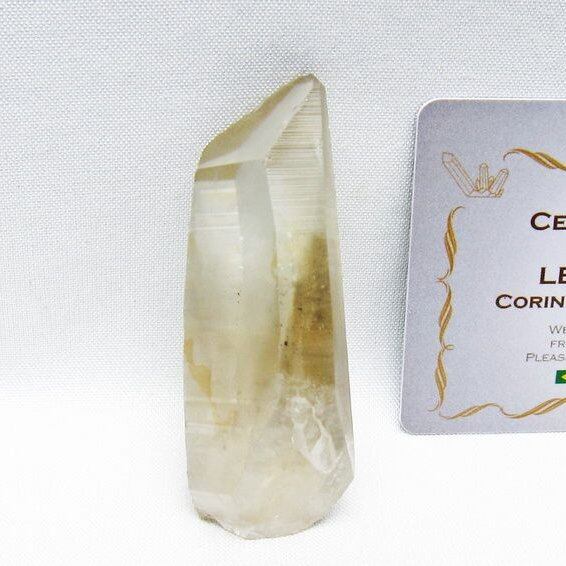 レムリアンシード シトリンクォーツ 原石 ブラジル ミナスジェライス州 コリント産 一点物 171-7330