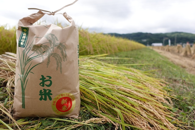 【定期便】【令和5年度】10kg×3回　特別栽培米コシヒカリ※送料込み