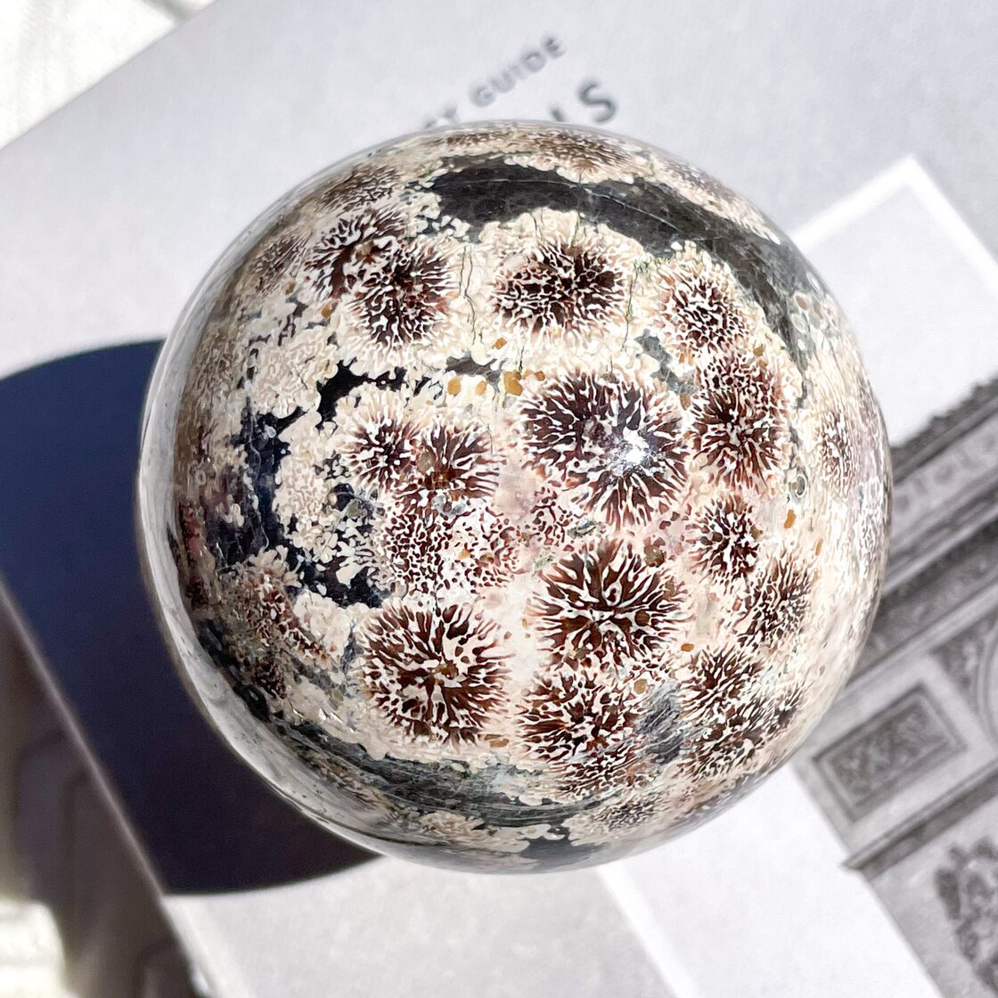 Green Flower Jasper Sphere 11 ✧ グリーンフラワージャスパー (花の 