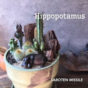 Hippopotamus カバ