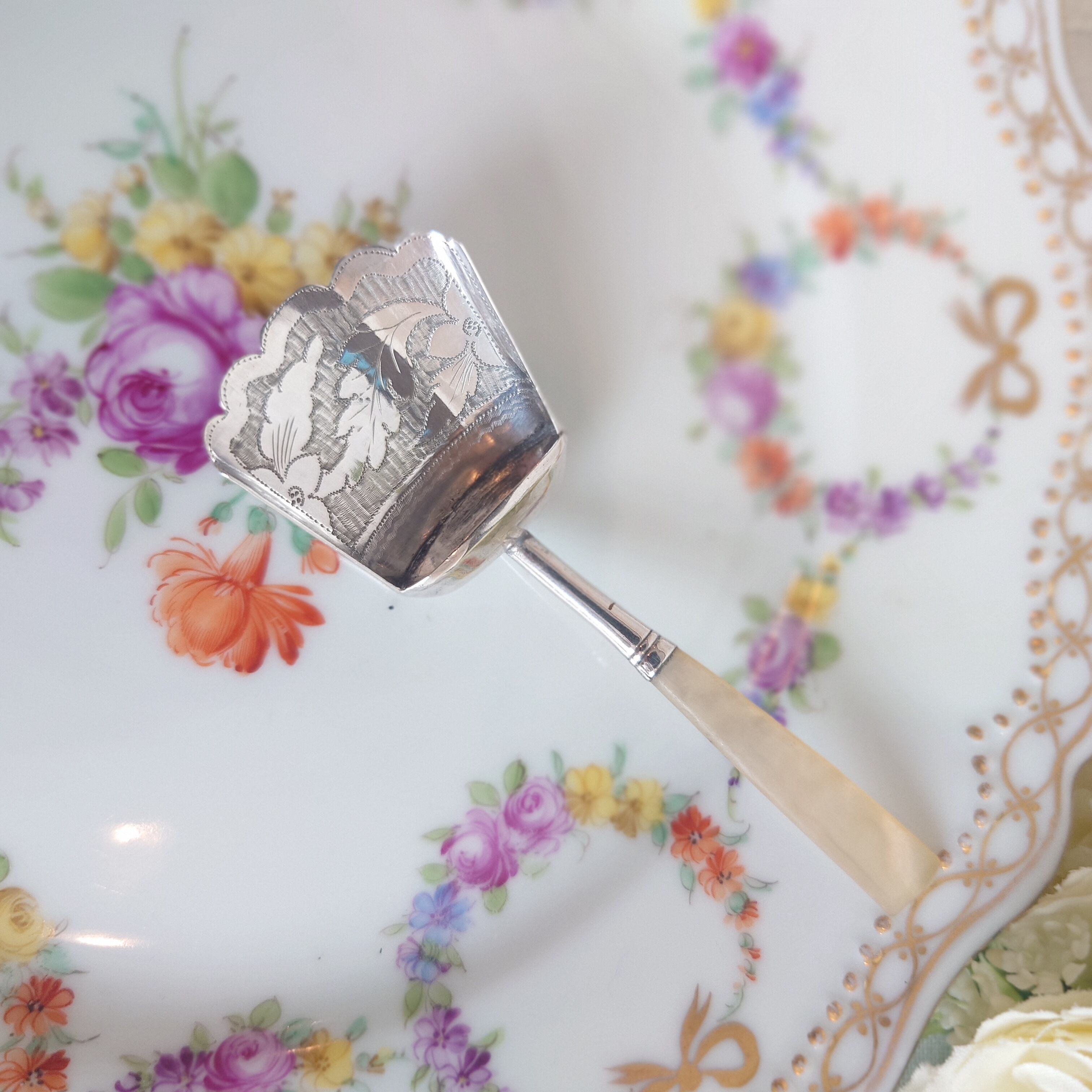 白蝶貝ハンドル 純銀 ティーキャディースプーン 1818年 | アンティーク