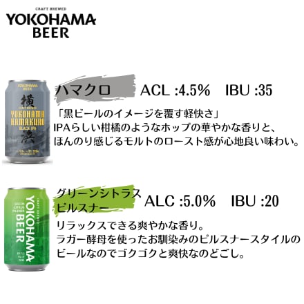 【定番ビールアソートBOX】横浜ビール10種詰め合わせ（ボトル6種・缶4種）