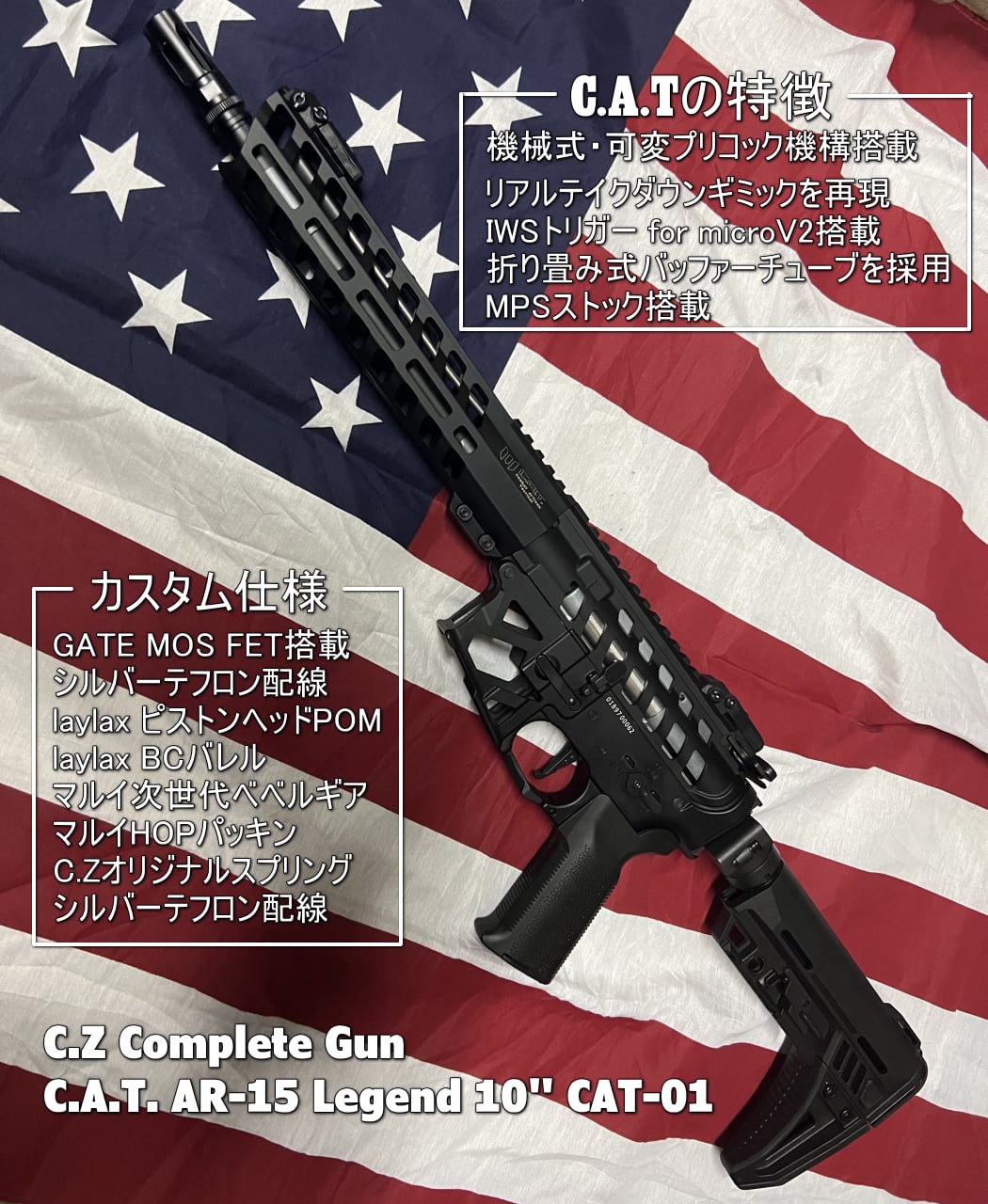 C.Zコンプリート】C.A.T. AR-15 Legend 10
