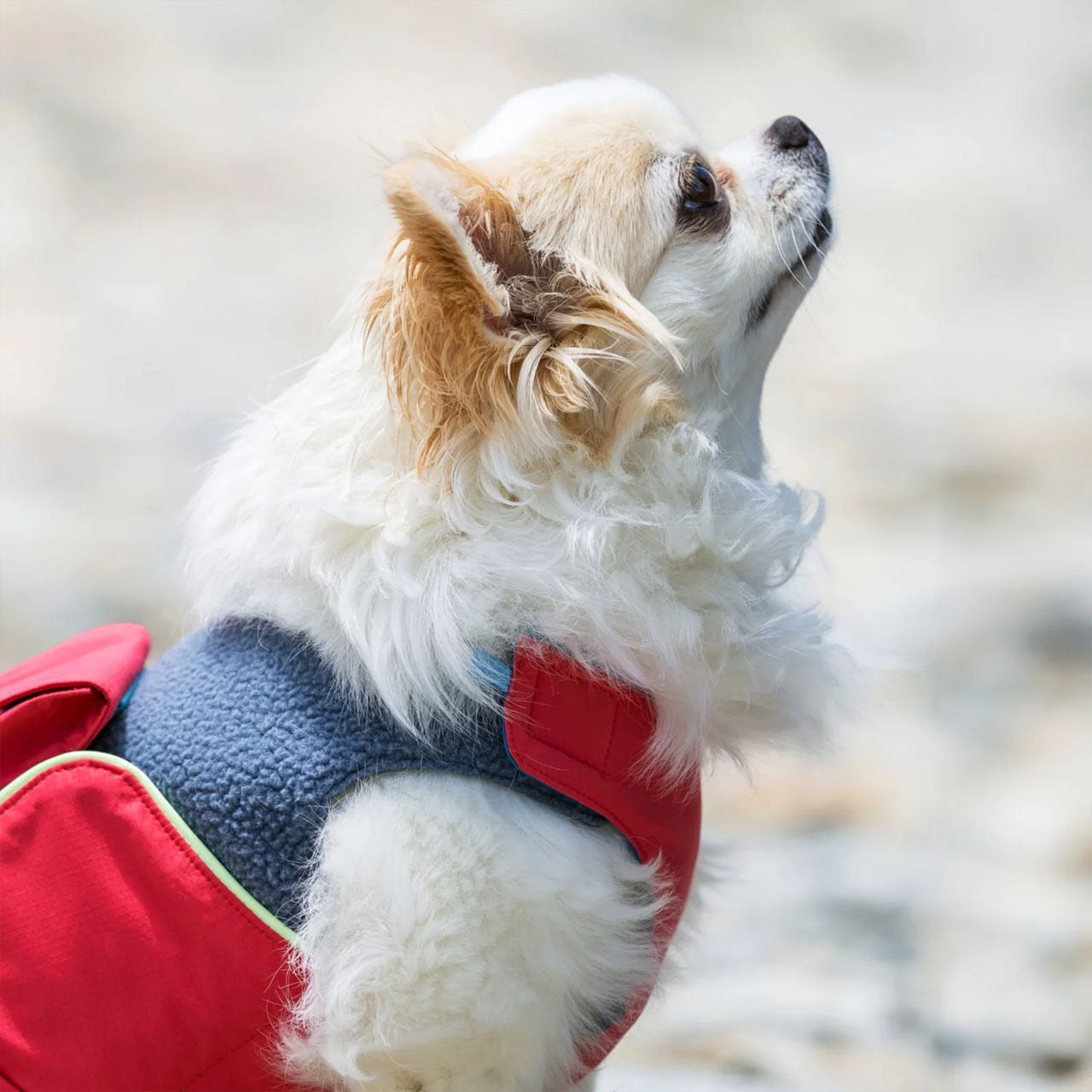 ALPHAICON [アルファアイコン] AIR LINER [25AL] エアライナー・ドッグ