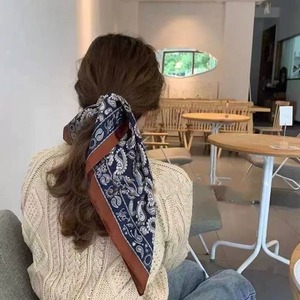 French Paisley Scarf