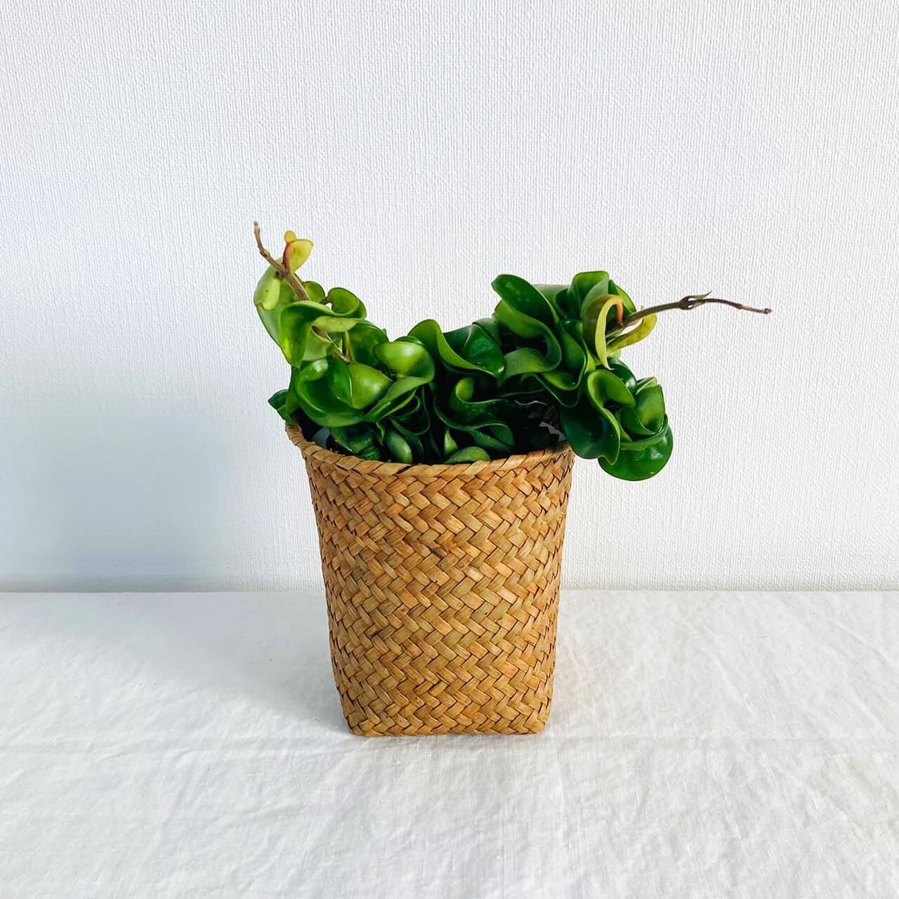 手織りかご サイズM