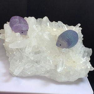 2.フローライトハリネズミが住み着いている水晶クラスター