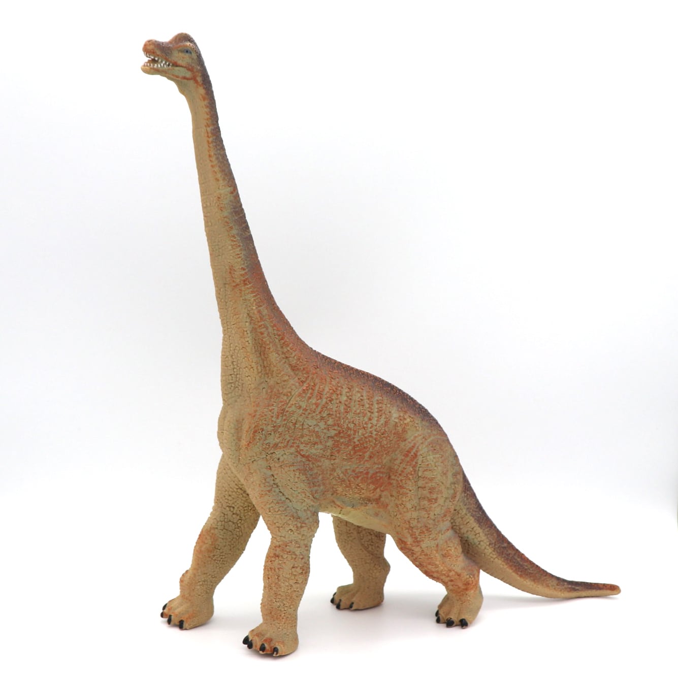 ブラキオサウルス 恐竜 非売品 一点物