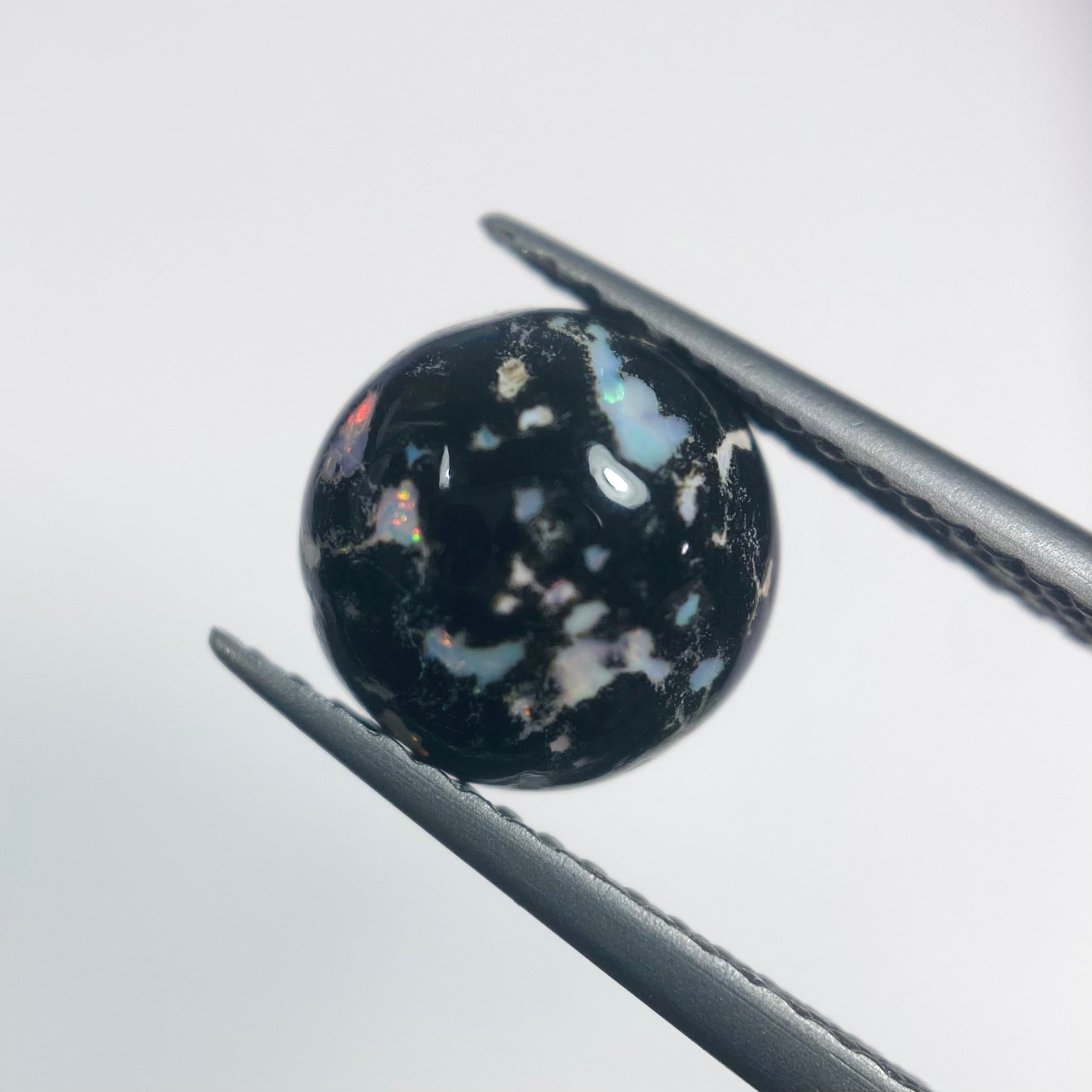 オサレなレオパードオパール1