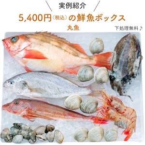 【鮮魚ボックス】春