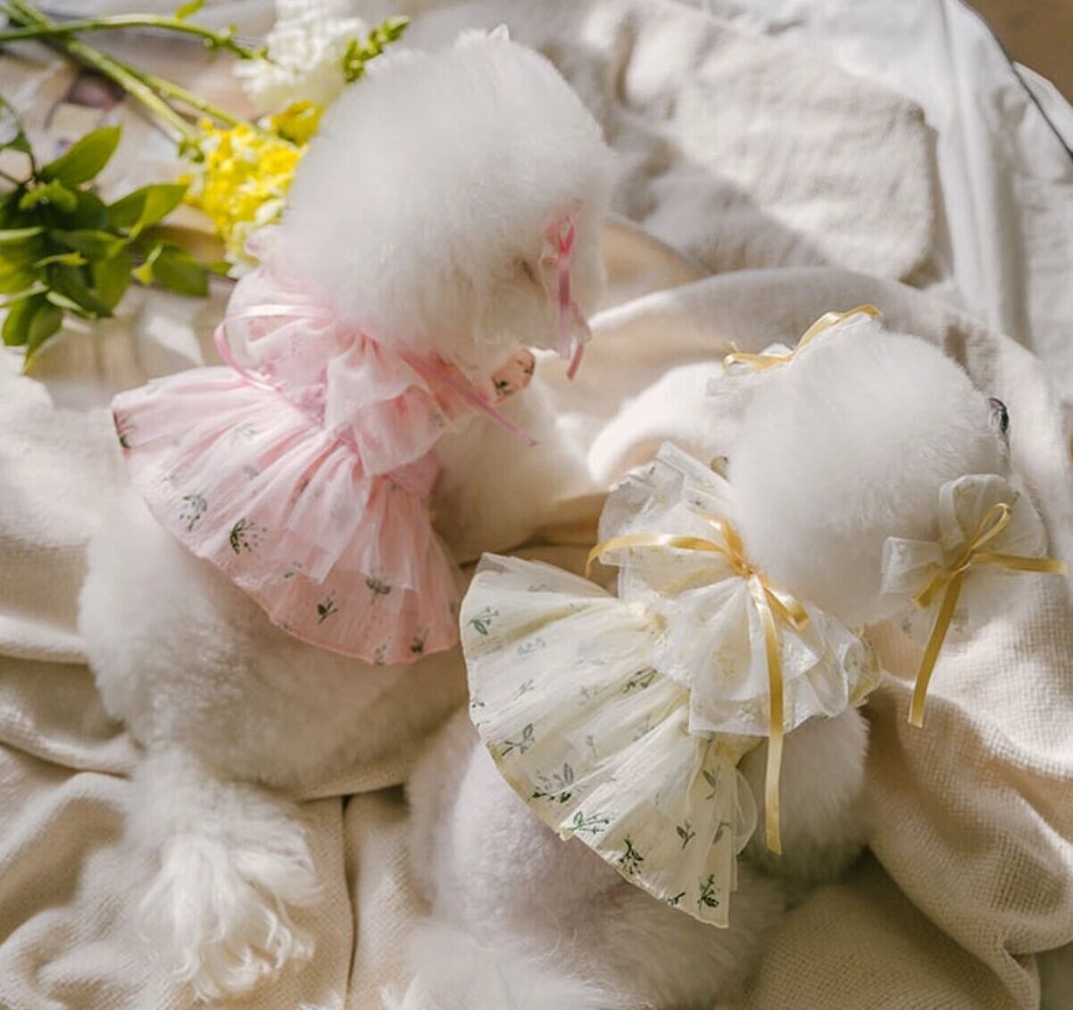 予約【todley】Tincle Bell Dress《2Color》