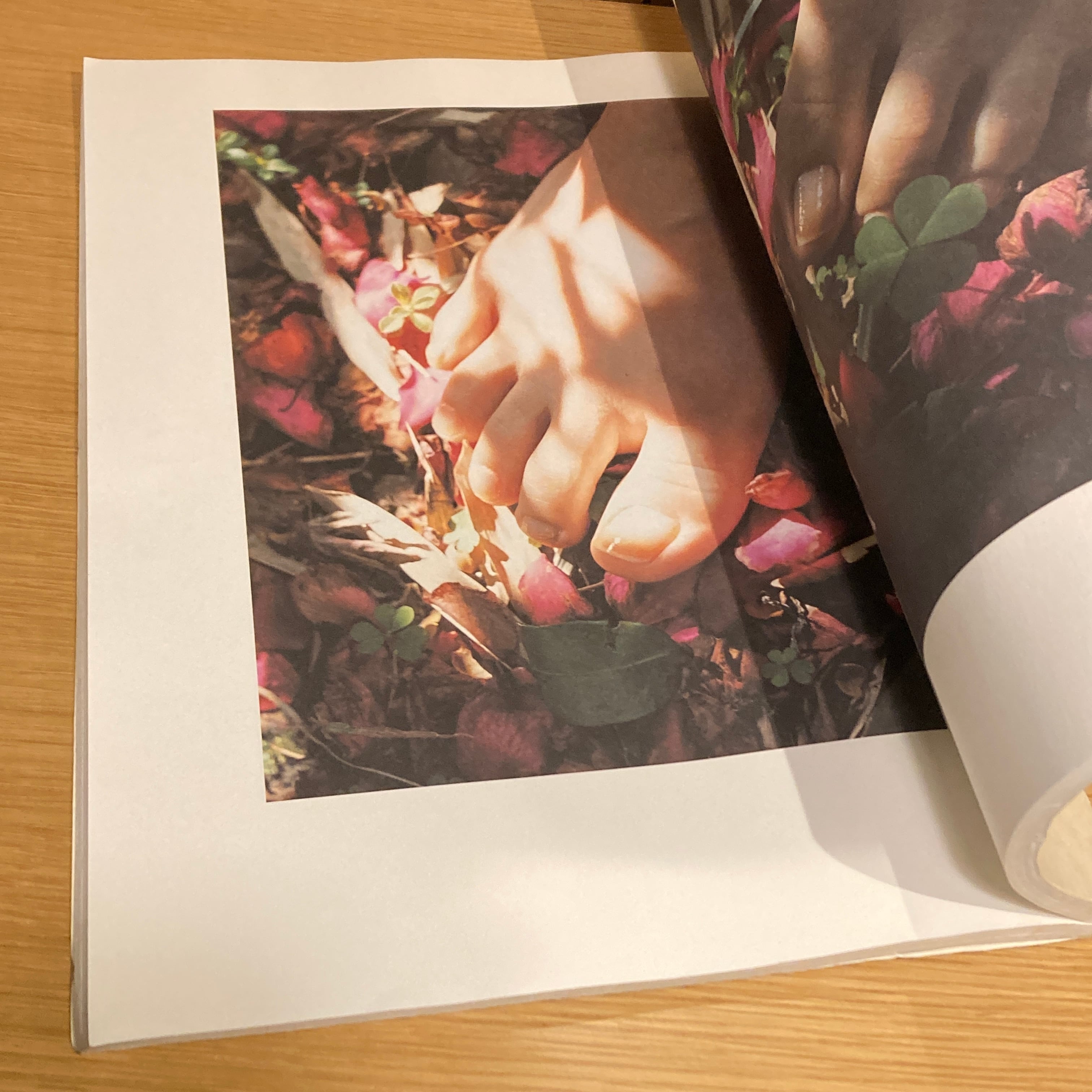 美咲 伊東美咲写真集 / 上田義彦 | 百年