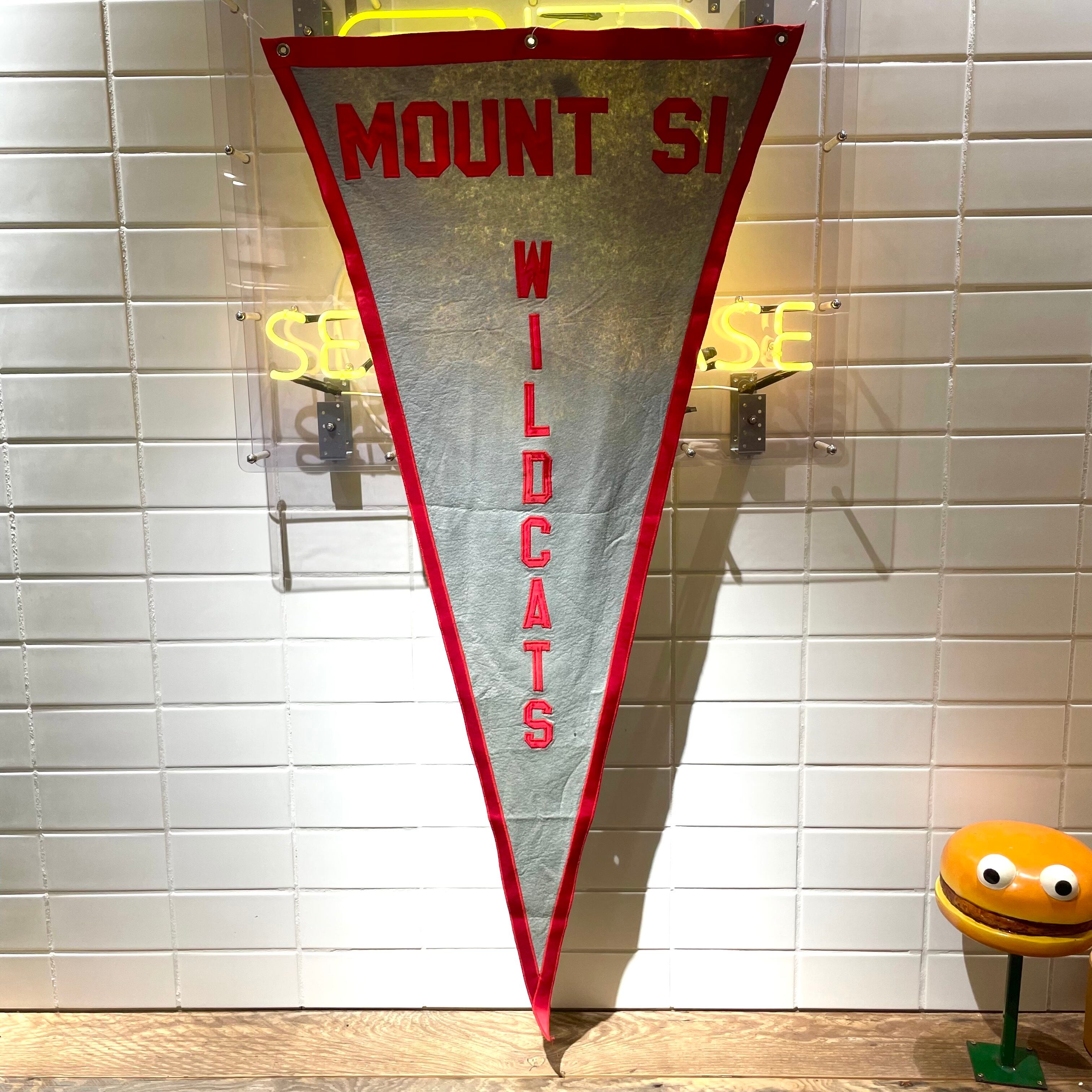 MOUNT SI WILDCATS / COLLEGE BIG PENNANT