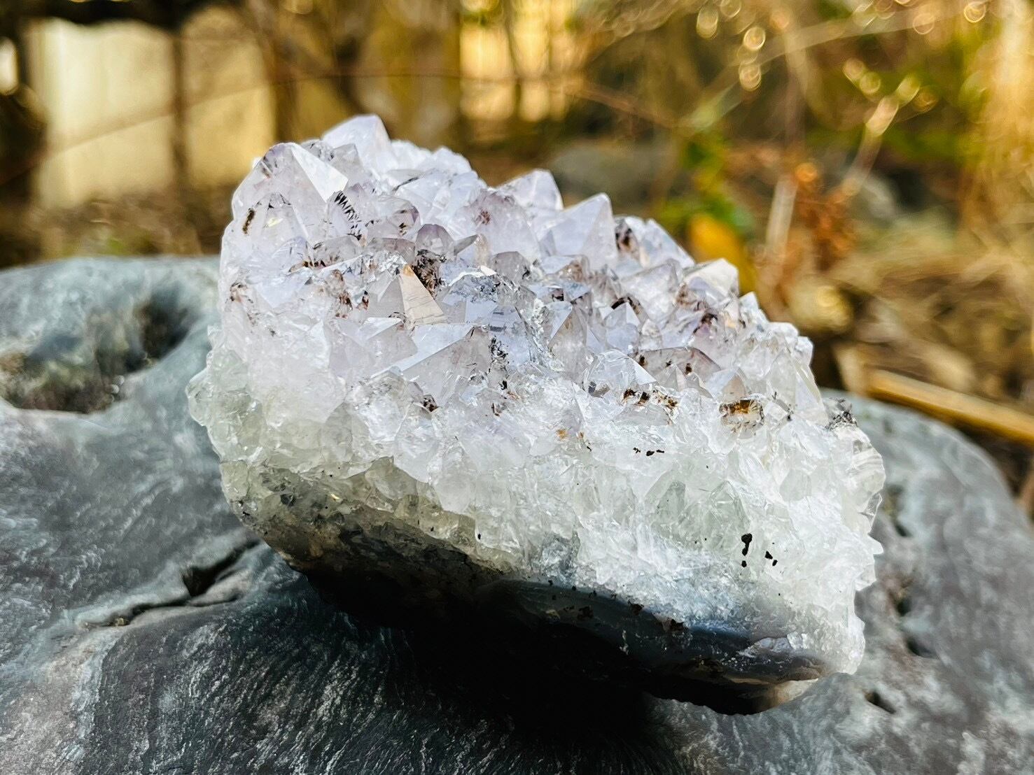 アメジストファントムクラスター 【公式通販】