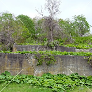 別保炭鉱跡地2（釧路町）　Beppo Coal Mine Site 2 (Kushiro Town)