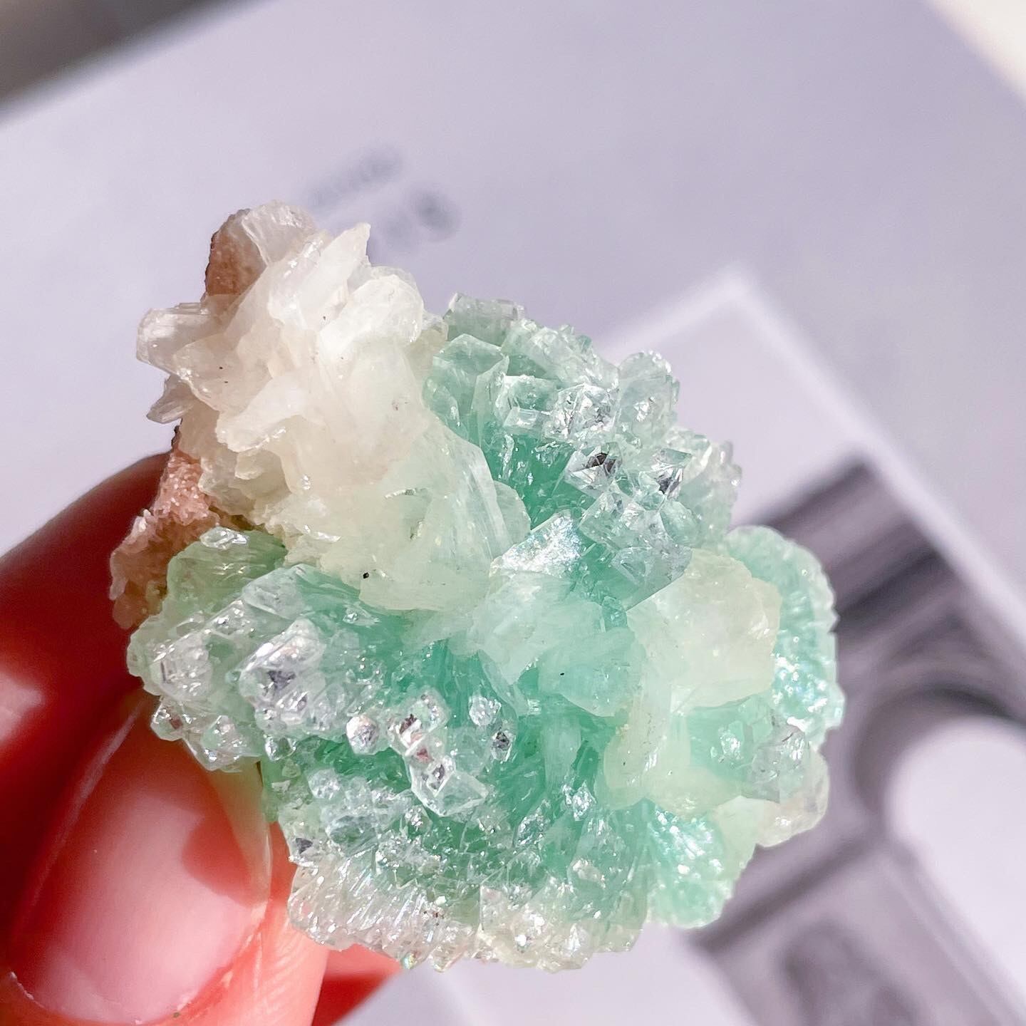 Flower Green Apophyllite 8 ✧ フラワーグリーンアポフィライト