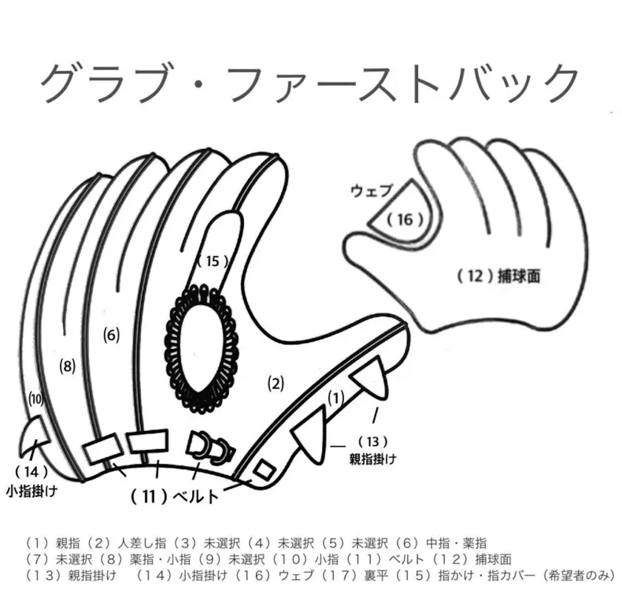 【硬式：内野手用オーダー】KNS-08モデル