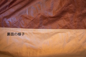 ビンテージテント Black diamond Betamid