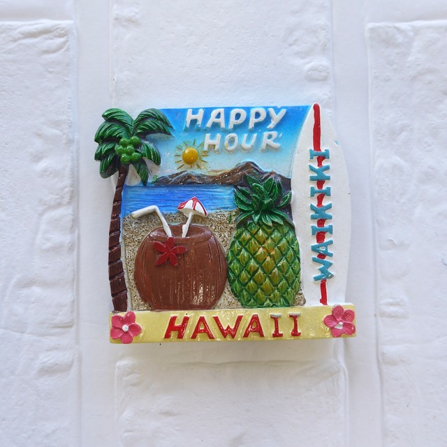 ★ハワイ直輸入★ハワイアンマグネット／ホヌ／HAWAII／ハワイ磁石／キッチンマグネット／MG-101