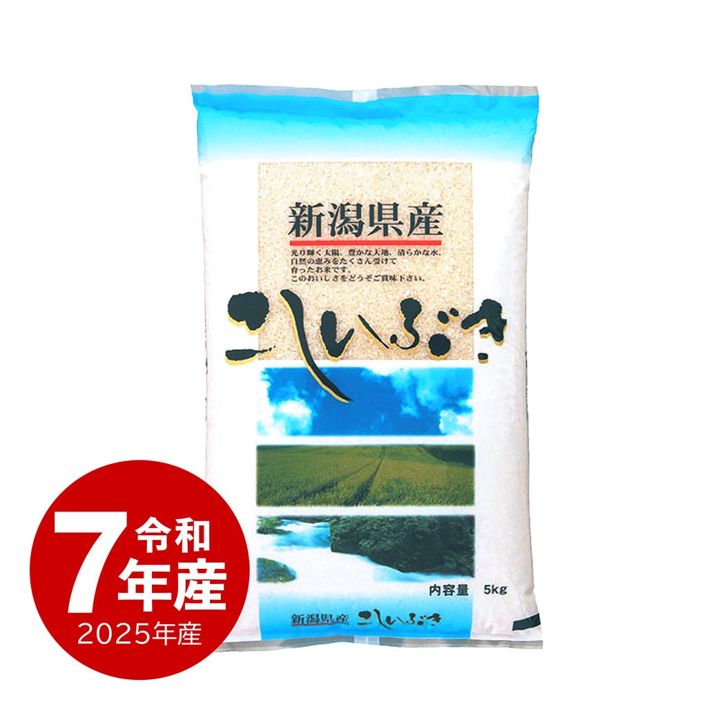 新潟産 新之助 10kg 一等米 令和7年産 | 越後の稲穂屋