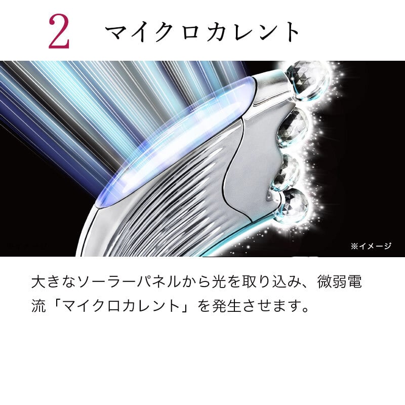 リファフォーカッサレイ | BUDDHA -MTG専門オンラインショップ-