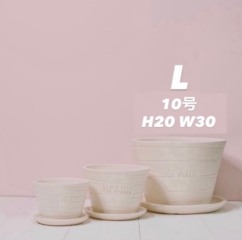 ミーホワイト L オリジナル信楽焼鉢