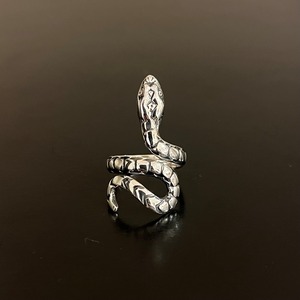 Sneak silver ring from Mexico