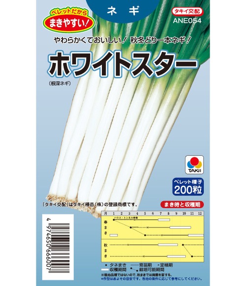 ネギ「ホワイトスター」（DF） 画像