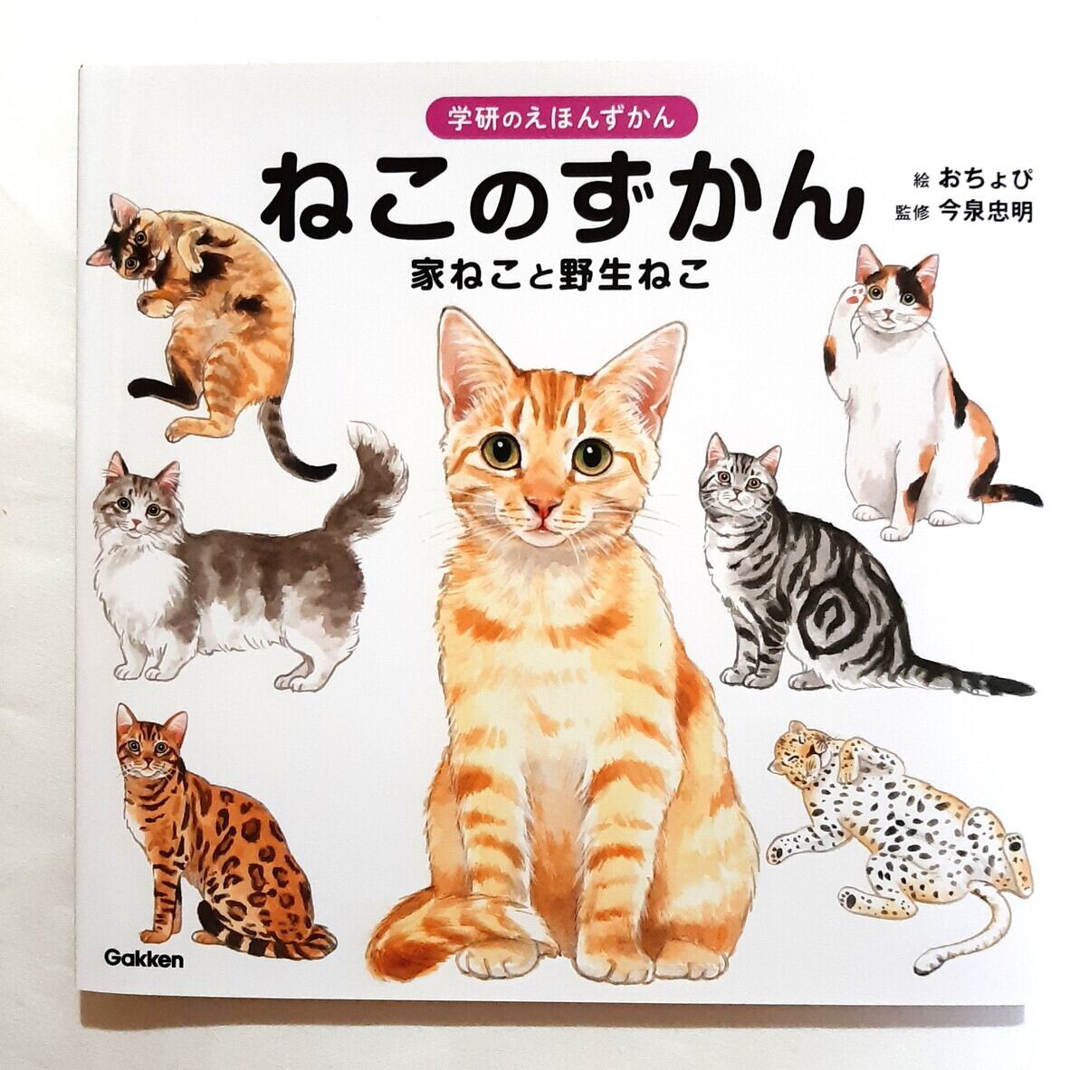 ねこのずかん 家ねこと野生ねこ（学研のえほんずかん） | ねこのみち