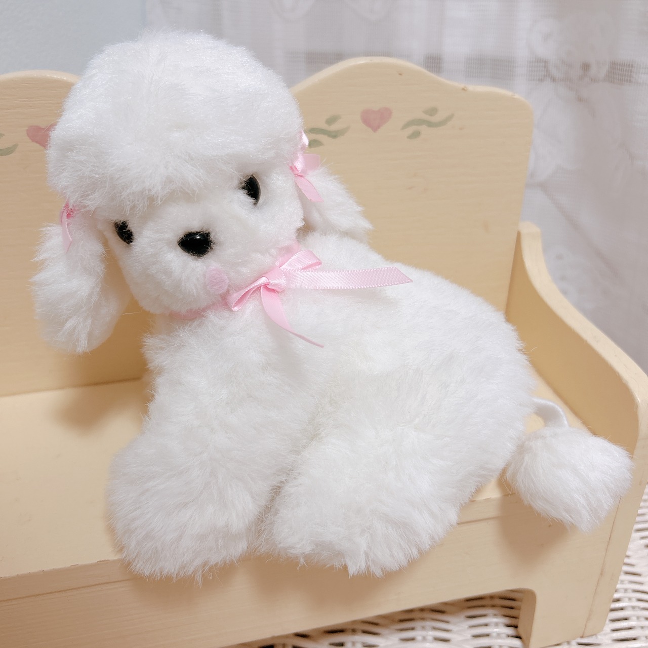 baby poodleの画像01