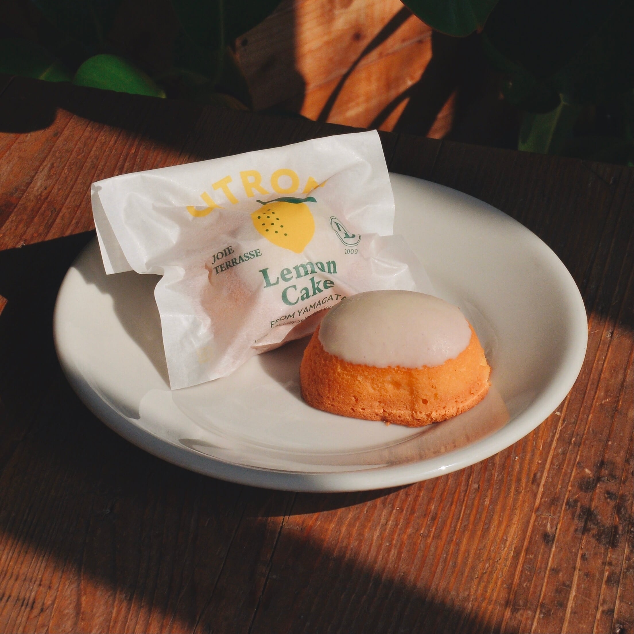 レモンケーキBOX(15個入) | D.joie ONLINE STORE