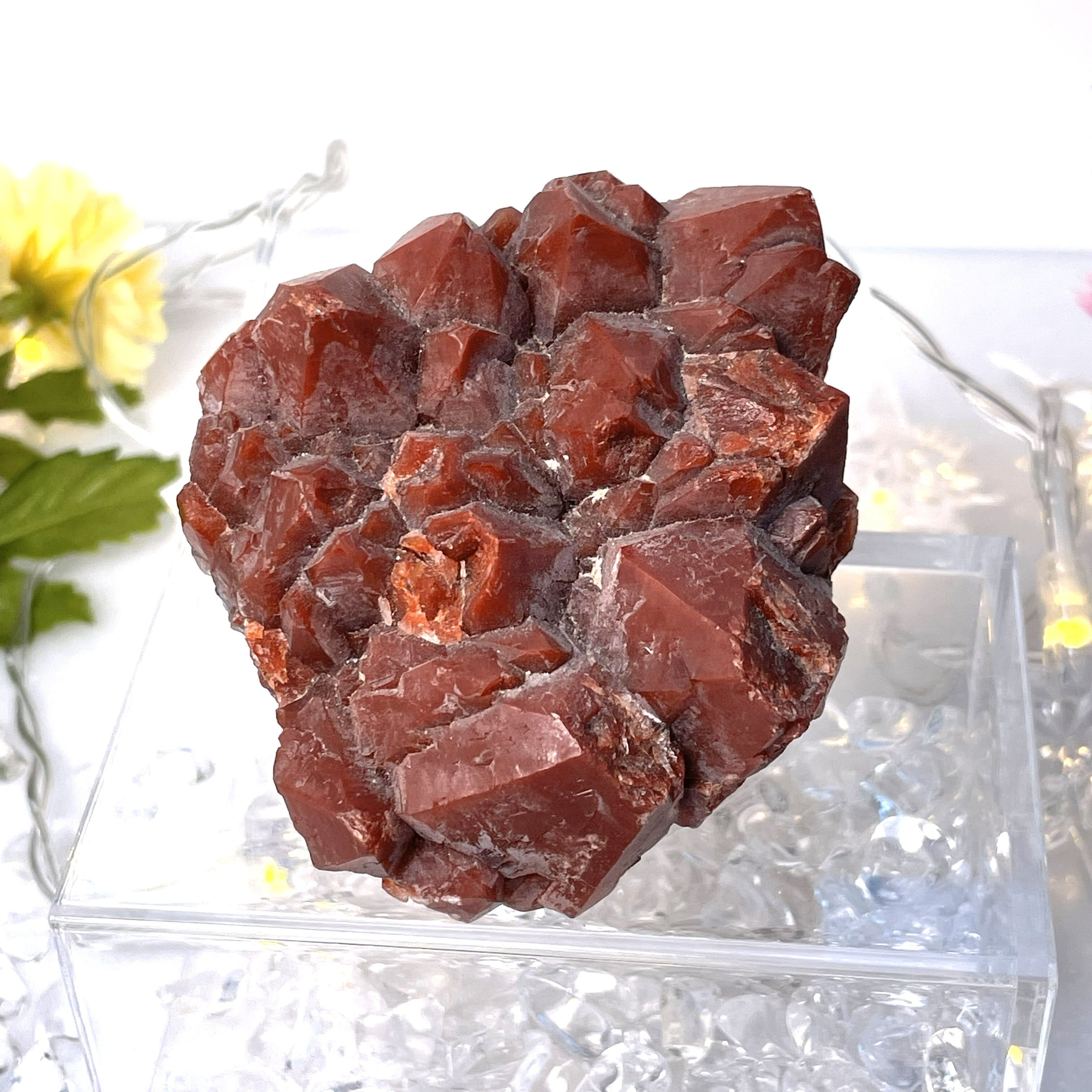 【陰陽を統合し、現実を一気に動かす変容の結晶】 アメトリン・レッドキャップス クラスター G4_3