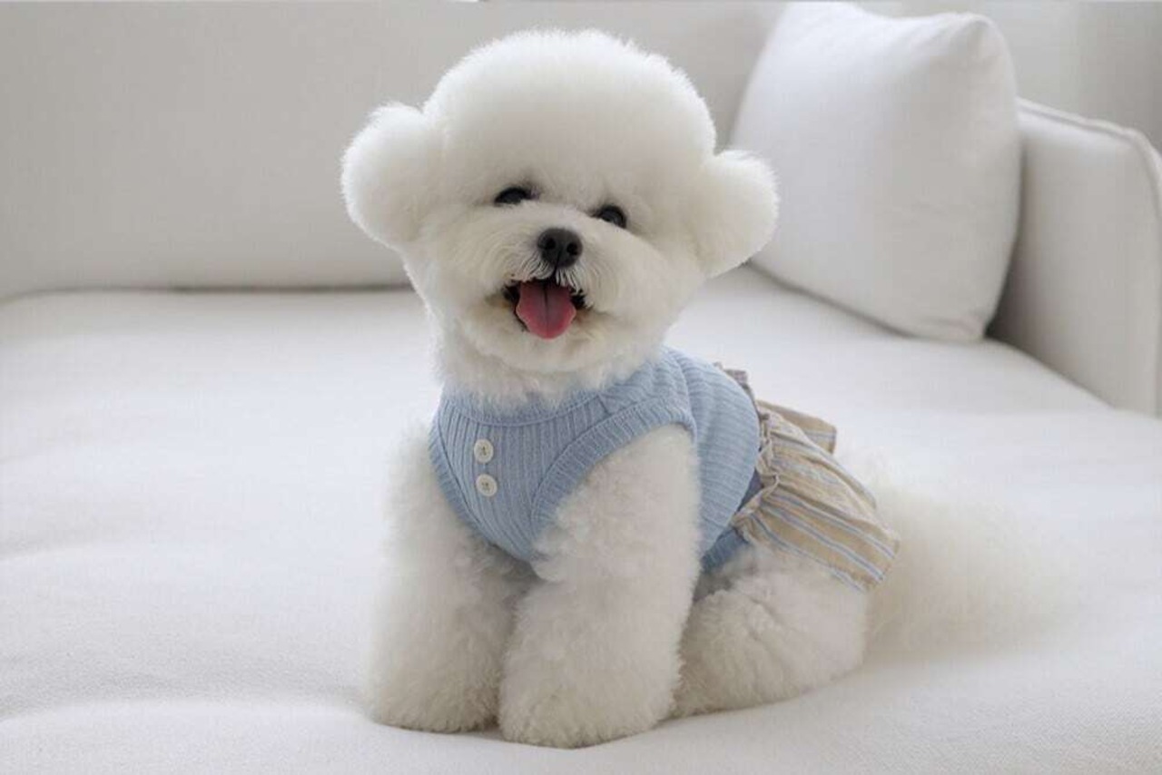 即納 【near by us】Ribbon knit top ベージュブルー 予約販売