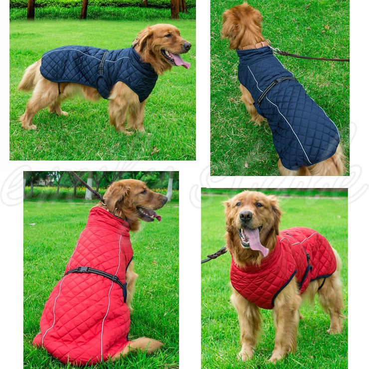 【現品限り‼️】大型犬 中型犬ドッグプレイ 全面フリース 雪遊び 寒さ対策 楽天市場】雪遊び ウェア 犬（犬用品｜ペット・ペットグッズ）の通販