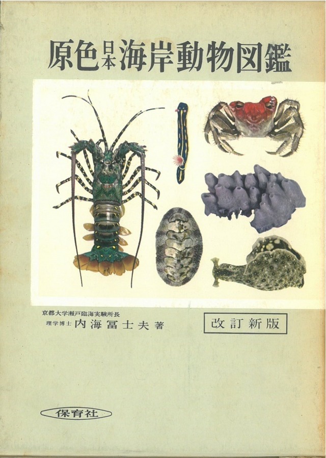 原色日本海岸動物図鑑 改訂新版 / 内海 富士夫 著 (本) 保育社