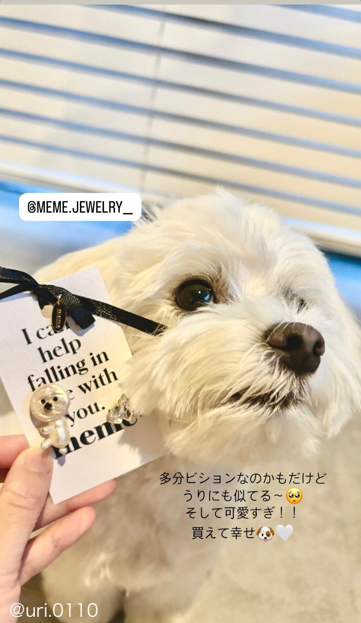 SHIROINU | MEME ミーミー