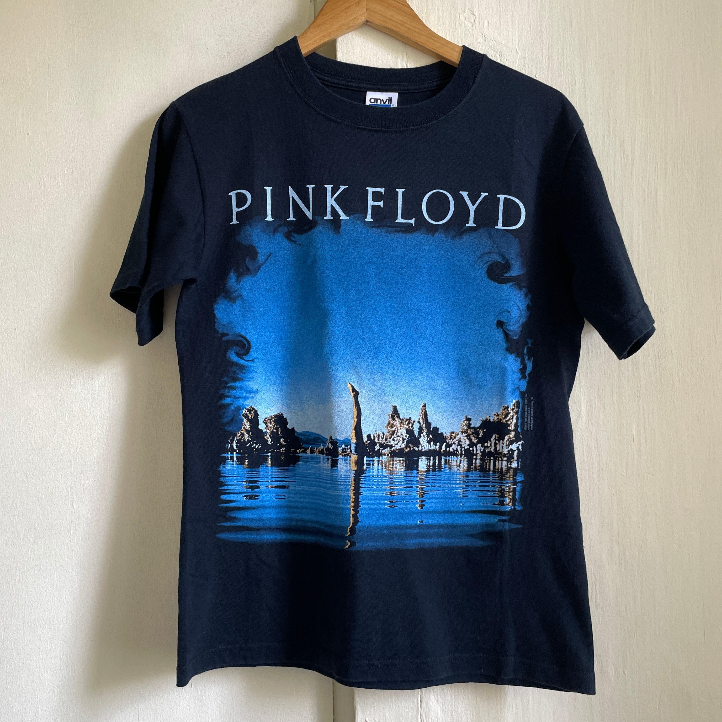 anvil PINK FLOYD ピンクフロイド バンドTシャツ バンT メンズM /eaa325742