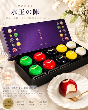 「水玉の陣」 - Gift Box 10 piece -
