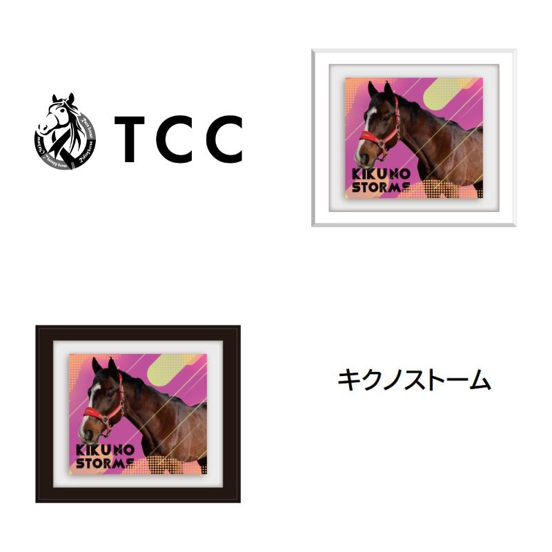 TCC x 馬Site TCCホース額縁マグネット ア～カ行 | TCC ONLINE STORE